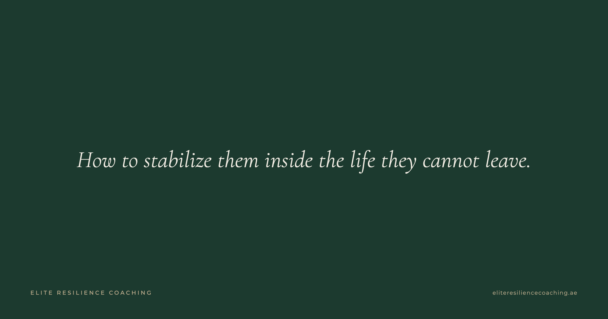 Cover for The Executive In-Residence Protocol: Crisis Management Without Career Disruption