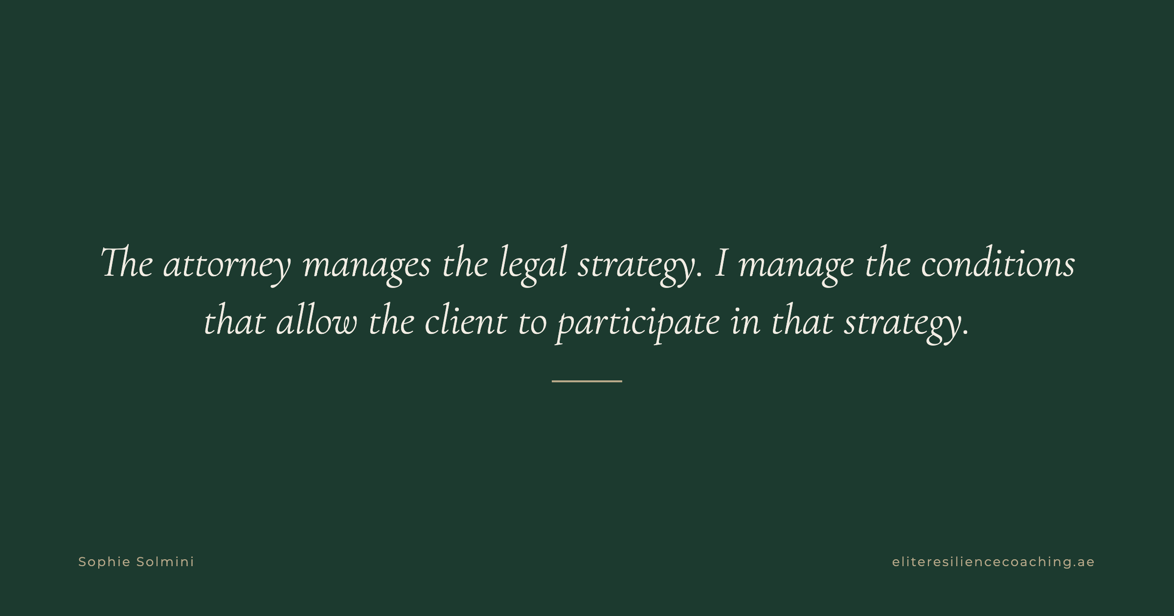 Cover for A Lawyer's Guide to a High-Profile Client's Crisis